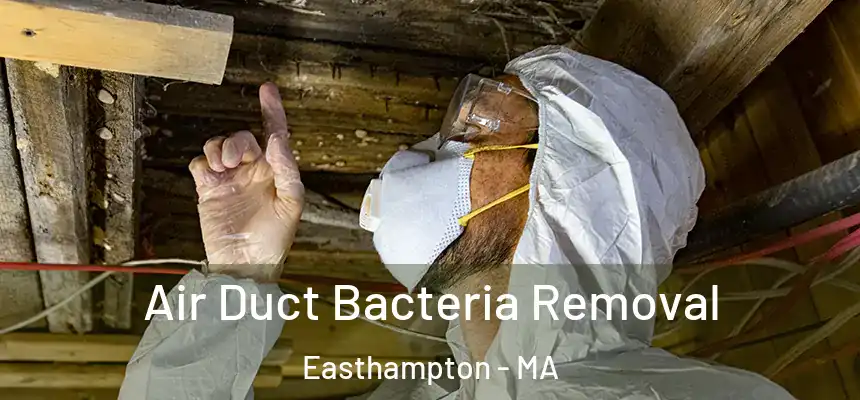 Air Duct Bacteria Removal Easthampton - MA