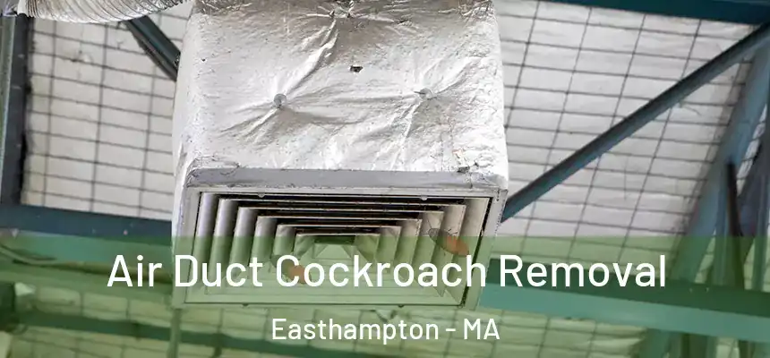  Air Duct Cockroach Removal Easthampton - MA