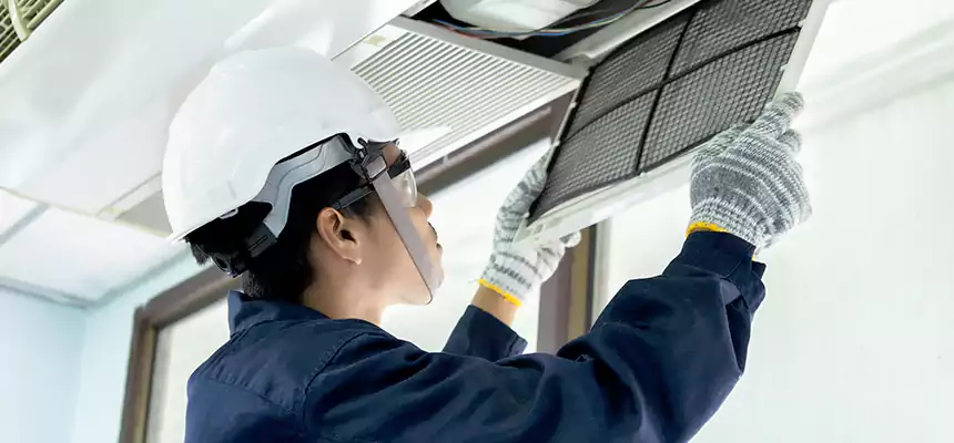 Our Mold & Mildew Removal from Air Ducts Services in Easthampton, MA