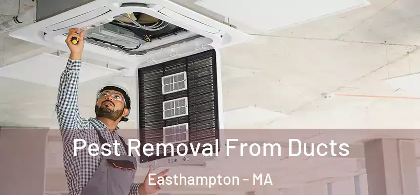 Pest Removal From Ducts Easthampton - MA