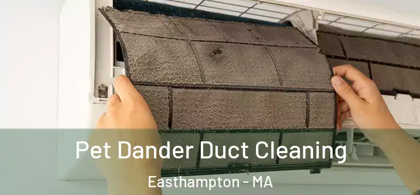 Pet Dander Duct Cleaning Easthampton - MA