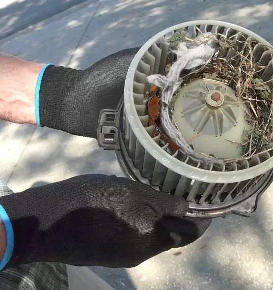 About Air Duct Mice Removal in Easthampton, MA