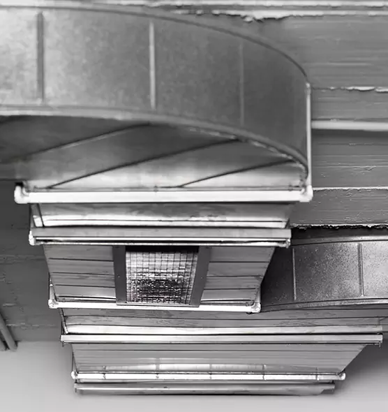 Professional Air Duct Pest Removal in Easthampton, MA