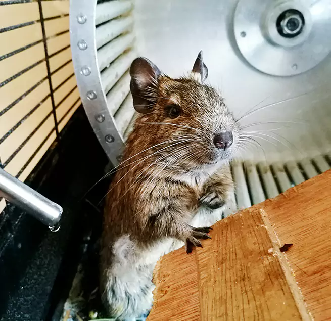 Why Homeowners & Businesses Trust Us Easthampton, MA