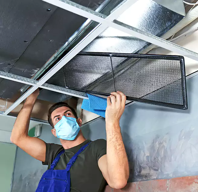 Why Homeowners Businesses Trust Us in Easthampton, MA