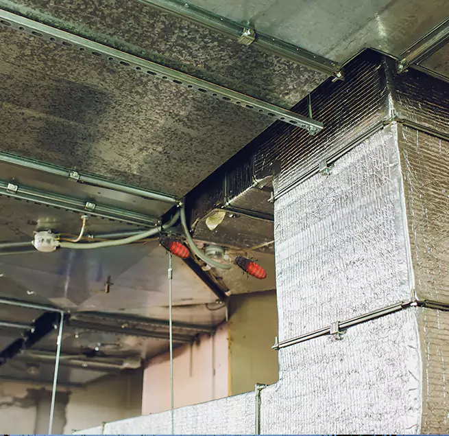 Why Homeowners & Businesses Trust Us Easthampton, MA?