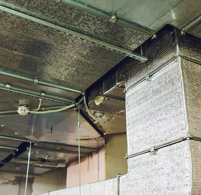 Why Homeowners & Businesses Trust Us in Easthampton, MA?